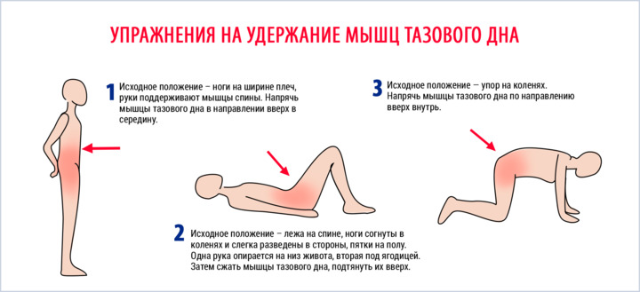 Упражнения для укрепления мышц тазового дна Гимнастика