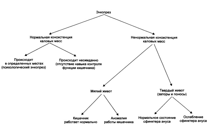 Диагностика недержания кала Диагностика