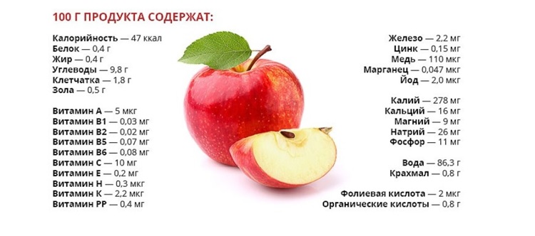 Полезные свойства яблок Полезные свойства яблок