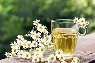 Одним из самых безопасных средств является ромашка аптечная Ромашка