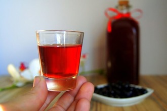 Положительное действие оказывает ликер из плодов терна Ликер