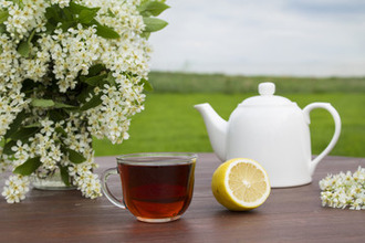 При диарее неинфекционного характера хорошо помогает чай из черемухи Чай