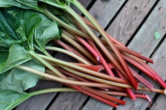 Основная масса действующих веществ синтезирована из растений, которые обладают слабительными свойствами Ревень