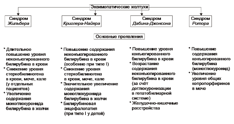 Краткая характеристика ротора
