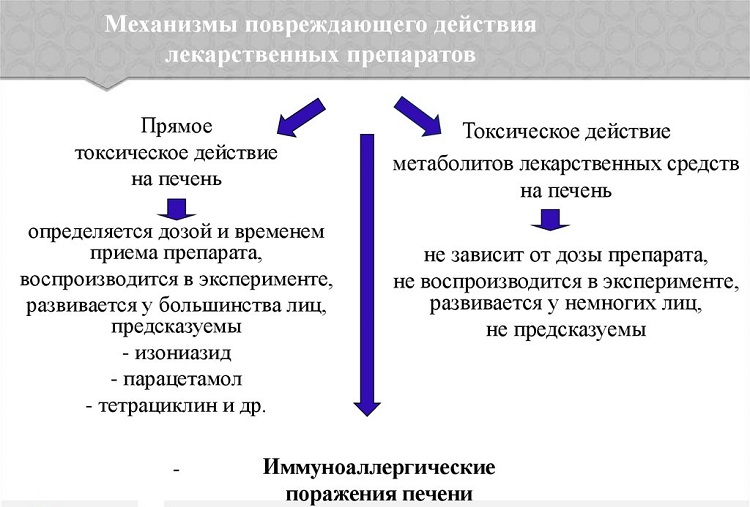 Особенности патогенеза лекарственного гепатита при разных вариантах развития