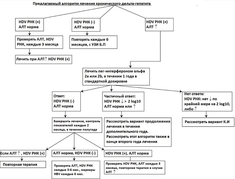 Пример алгоритма лечения хронического гепатита D