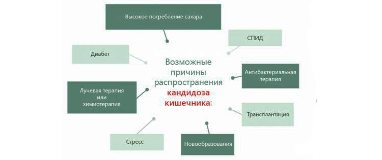Внешние проявления разрастания грибков в кишечнике Проявления