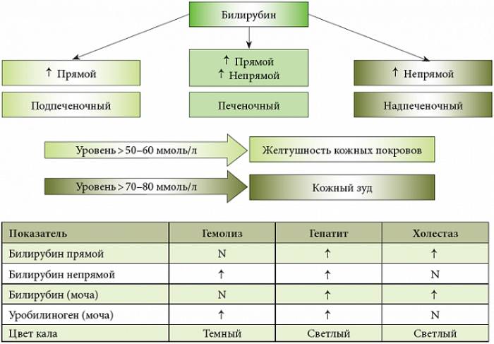 Зависимость окраски кала от желтухи и повышения билирубина