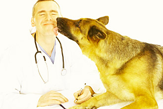 АСД для животных