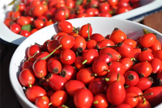 Плоды шиповника Плоды шиповника