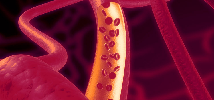 Действие Троксевазина на капилляры и сосуды
