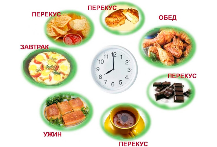 Питание должно быть дробным и частым Питание должно быть дробным и частым