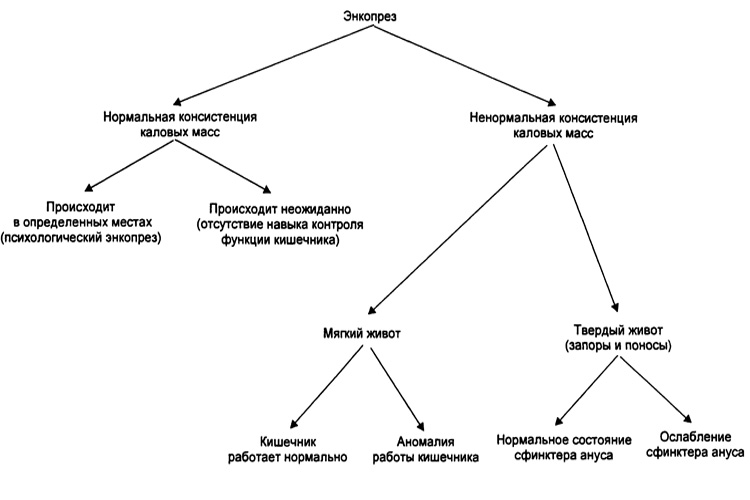Диагностика недержания кала. Диагностика недержания кала.