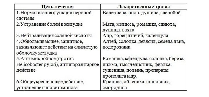 Как народные средства влияют на здоровье желудка? Таблица терапии гастрита народными средствами