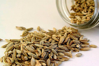 Сухие семена укропа Сухие семена укропа