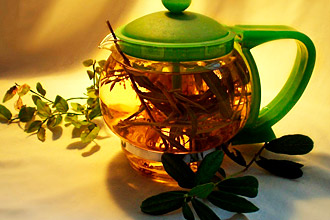 Отвар Горца почечуйного поможет от геморроя