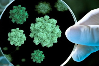 Что такое кишечный грипп? Что такое кишечный грипп?