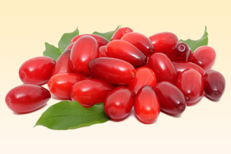 Целебные свойства кизила Кизил