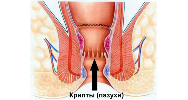 Криптит Криптит