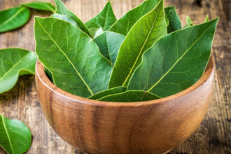 Растение широко используется в медицине Растение широко используется в медицине