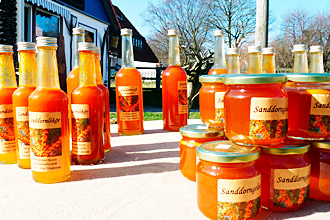 Свойства облепихи лечащие геморрой