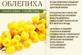 Полезные свойства облепихи от многих болезней