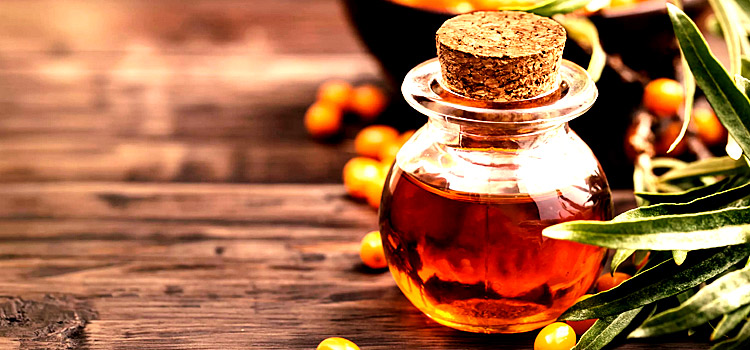 Ингредиенты и рецепт облепиховой мази