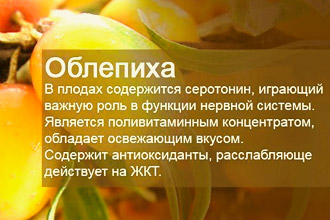 Польза облепихи при лечении геморроя