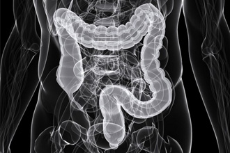 Рентгенография брюшной полости Рентгенография брюшной полости