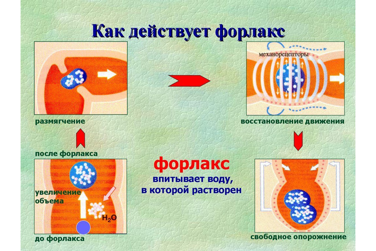 Действие препарата Форлакс Действие препарата Форлакс