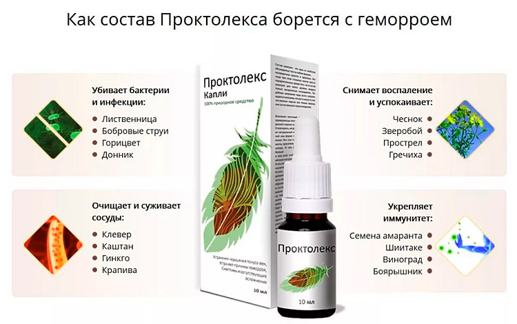 Состав и действие Проктолекса