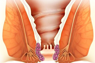 Общие сведения Общие сведения