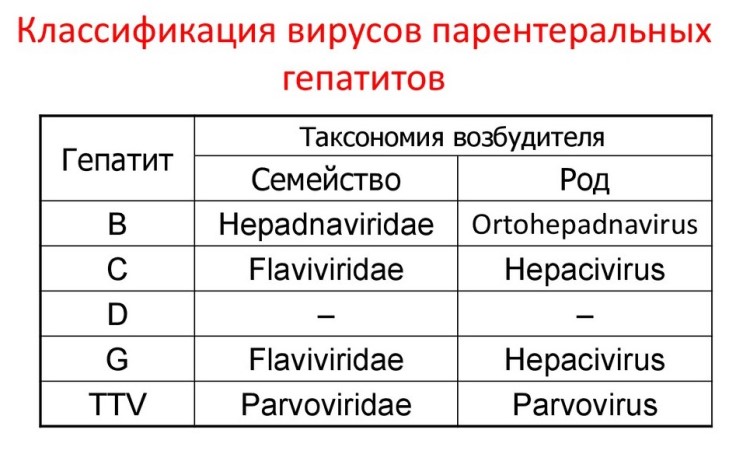 Классификация вирусов гепатитов Классификация вирусов гепатитов
