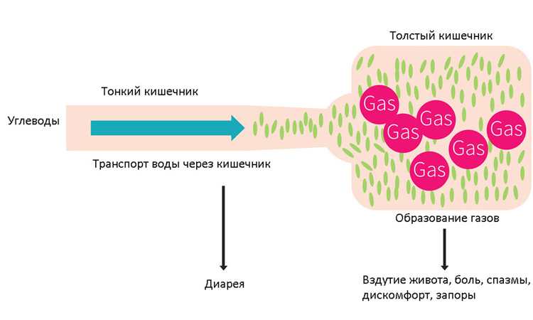 Для улучшения самочувствия необходимо потреблять низкое количество углеводов Для улучшения самочувствия необходимо потреблять низкое количество углеводов