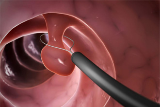 Классификация образований Классификация образований