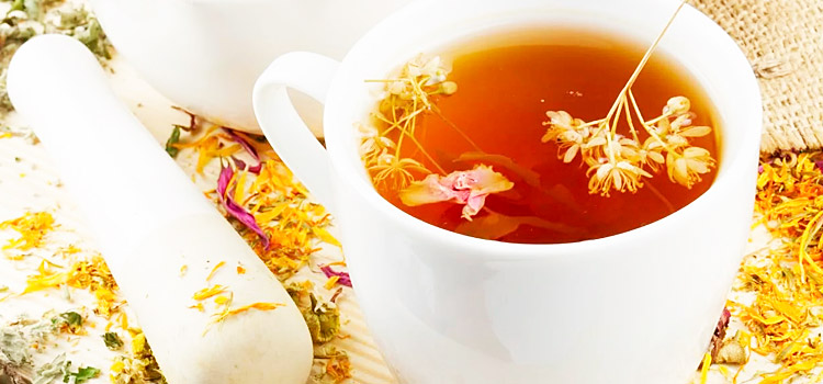 Чаи и отвары на основе коровяка