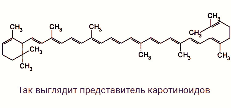Каротиноидная группа входит в состав коровяка от геморроя