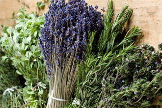 Список слабительных трав Список слабительных трав