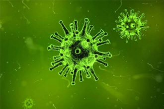 Причины зеленого стула Причины зеленого стула